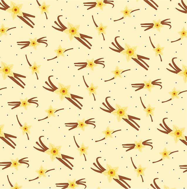 Vanilla-Pattern.jpg